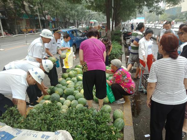 开封西瓜行情最新动态分析